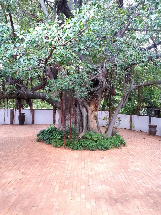 Bush Lovers Lodge Модимоле Екстериор снимка